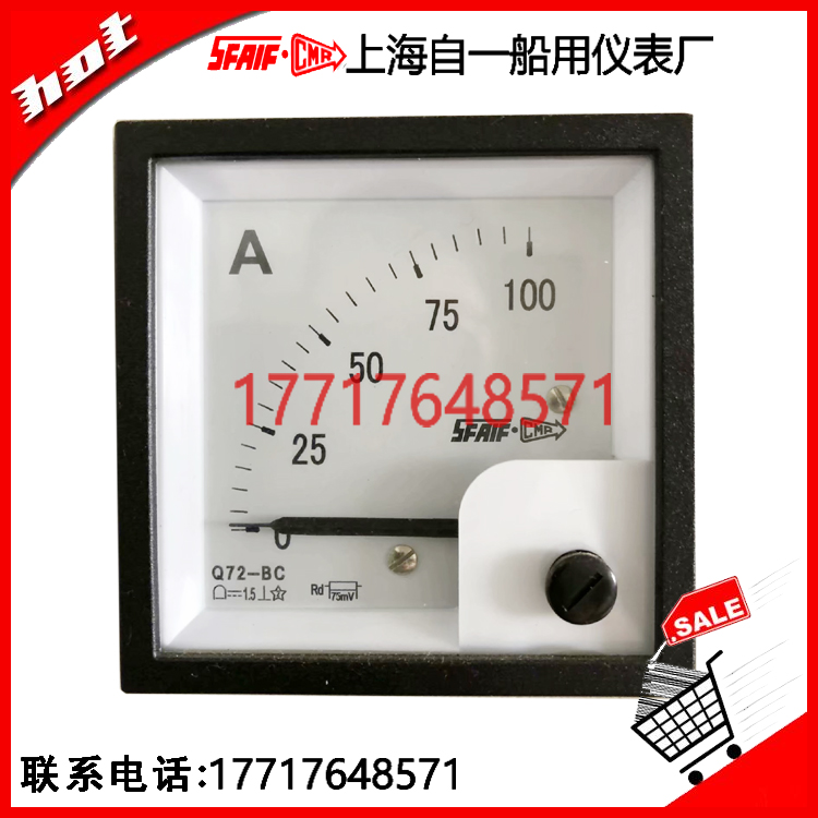 Q240-BC直流電壓表