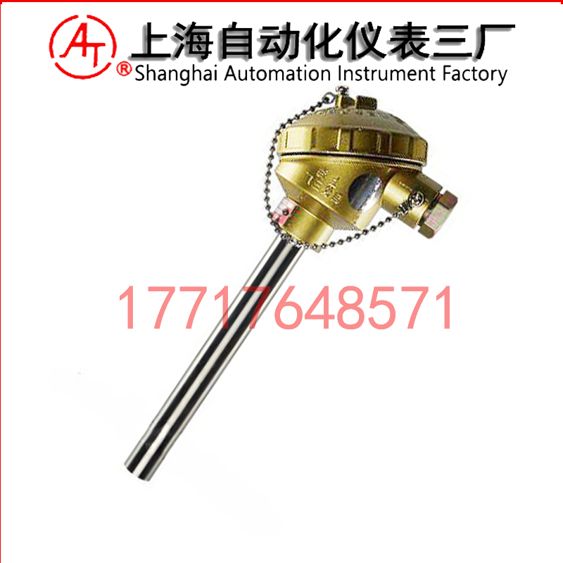 WRE2-130雙支熱電偶