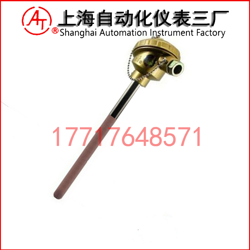 WRP2-130雙支鉑銠熱電偶